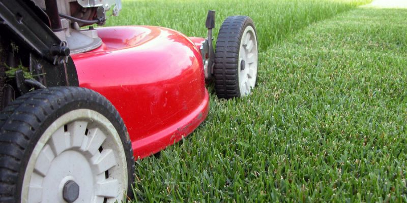 Lawn Care Mowing - Photo 1